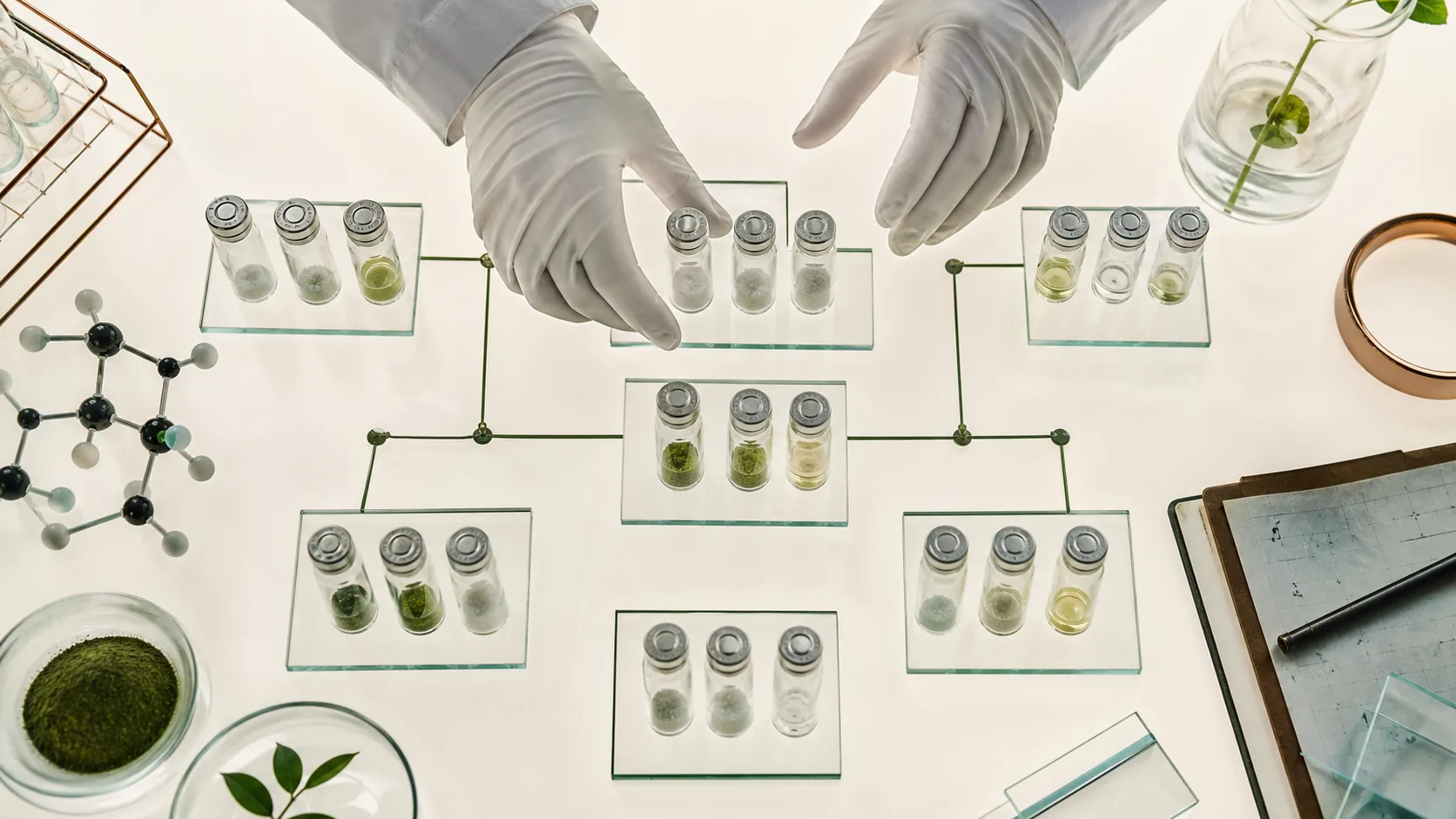 Researcher organizing grouped peptide samples on an experimental planning table